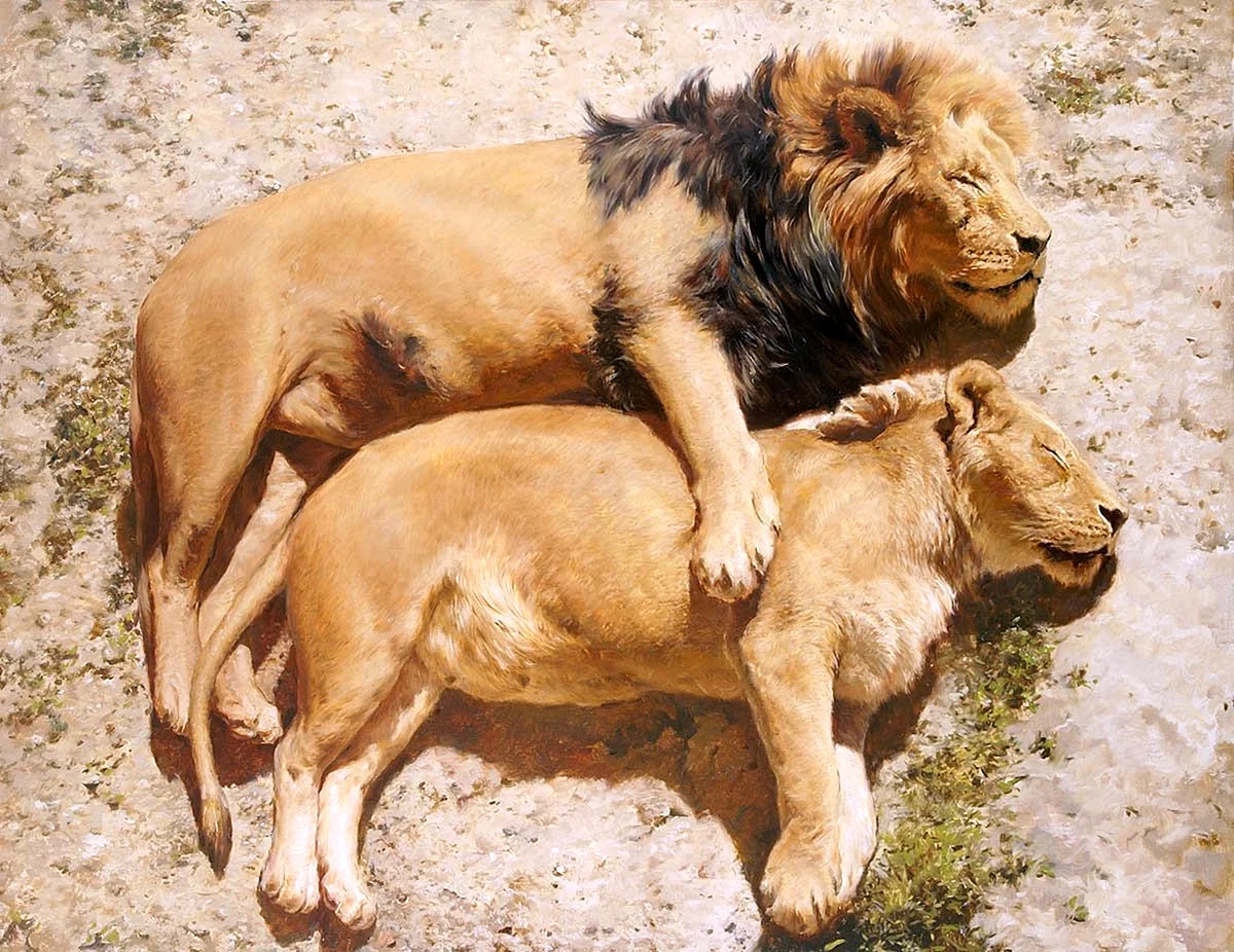 Беременная львица и Лев