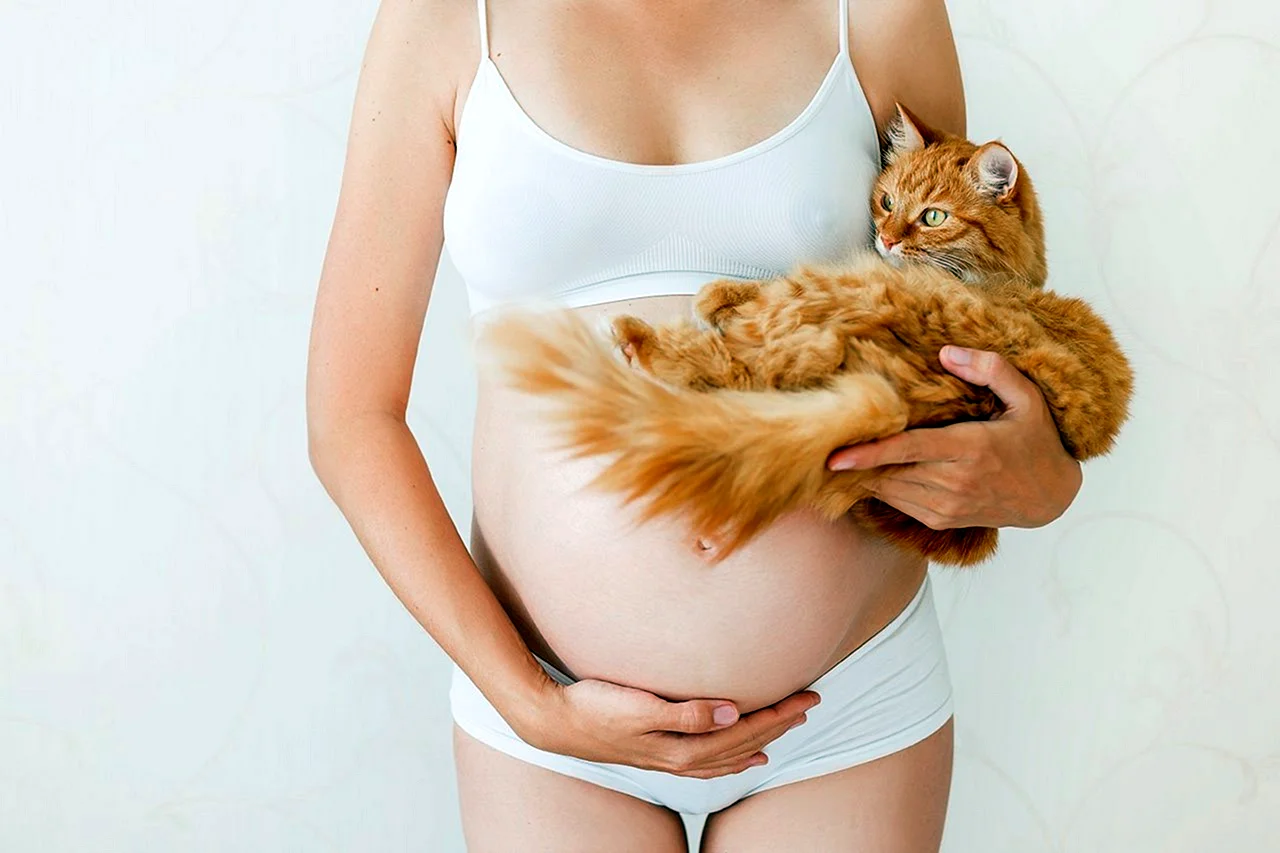 Беременная женщина кошка