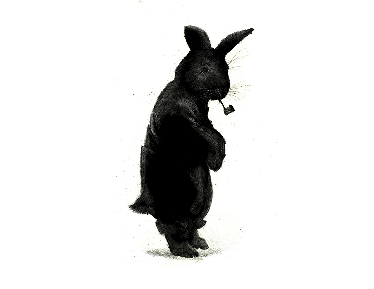 Билл Майер кролик