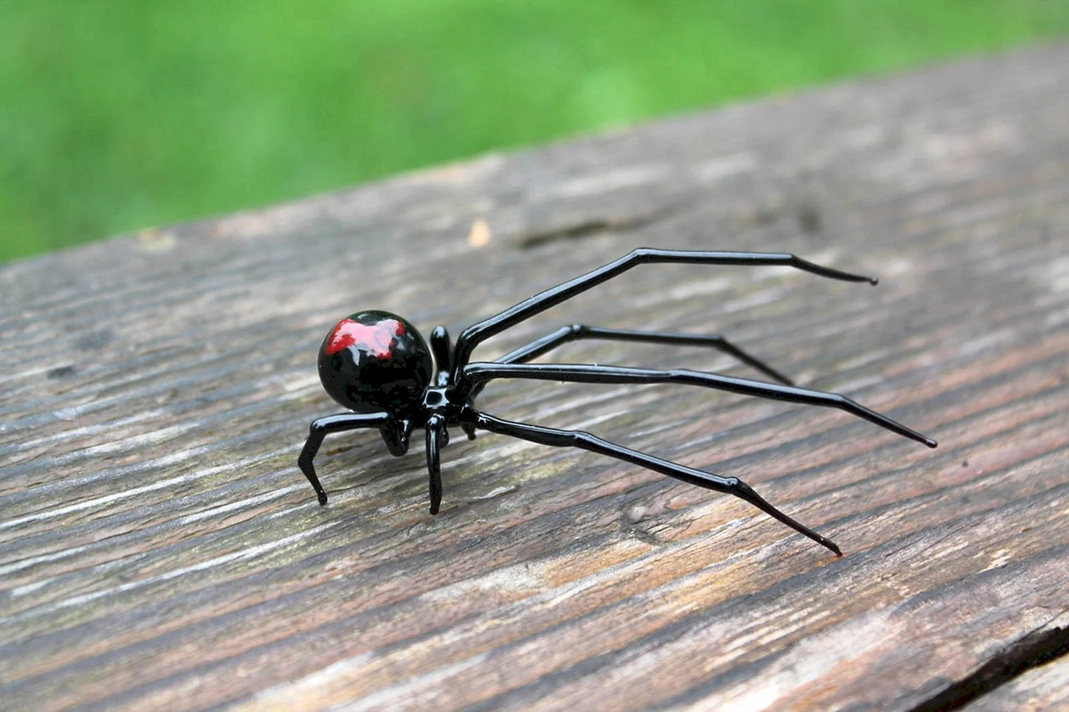 Black Widow паук