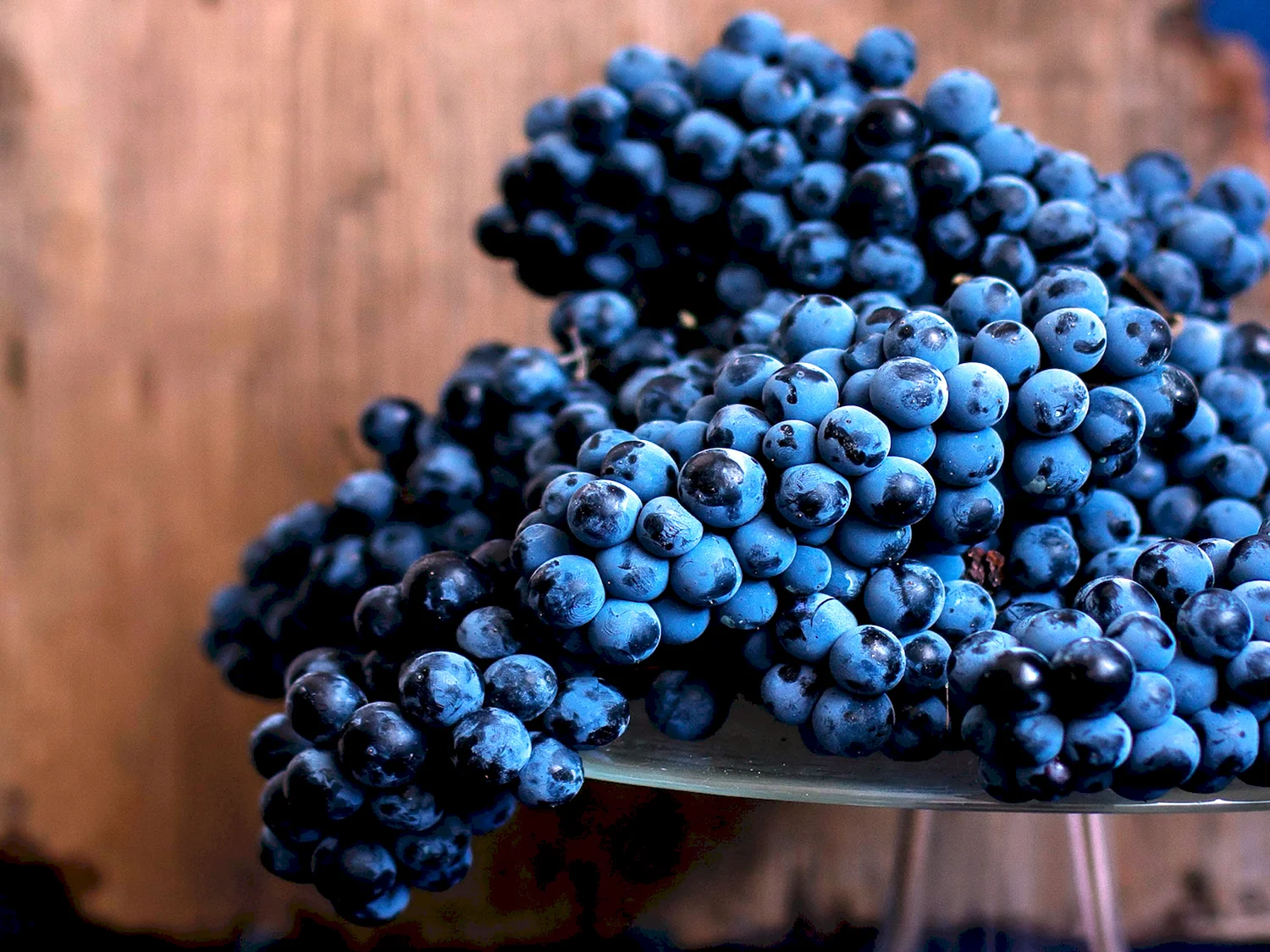 Blueberry виноград