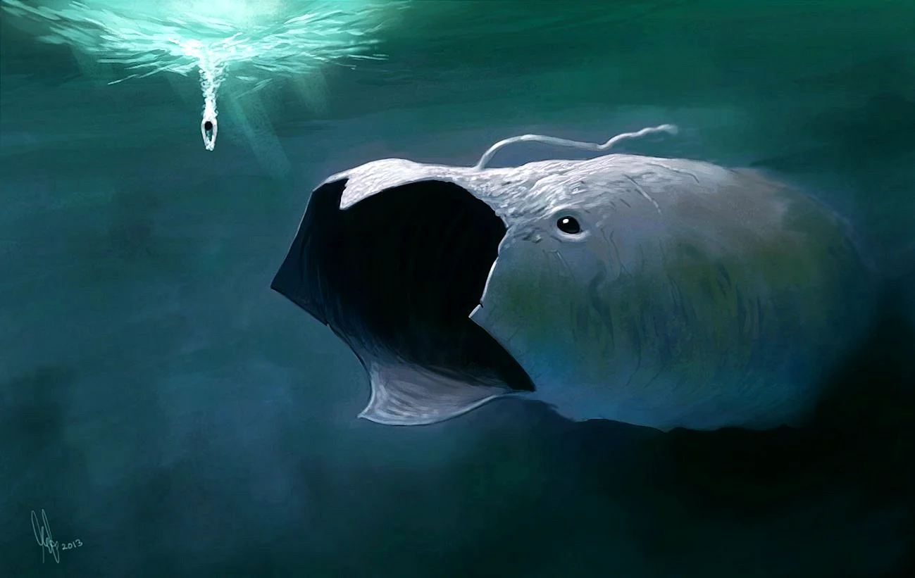Блуп кит
