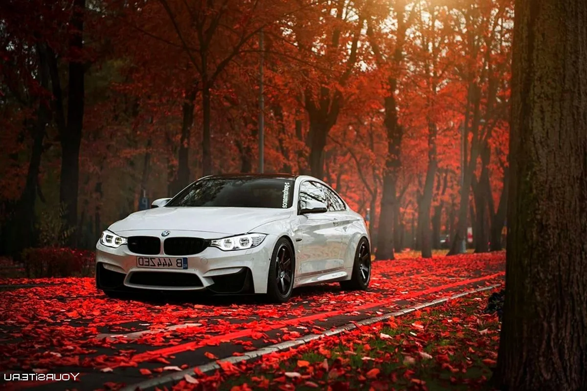 BMW красивые