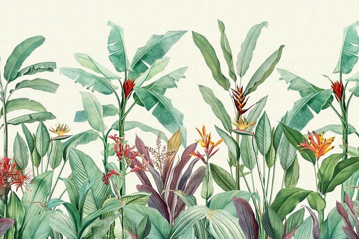 Ботанические иллюстрации тропические растения