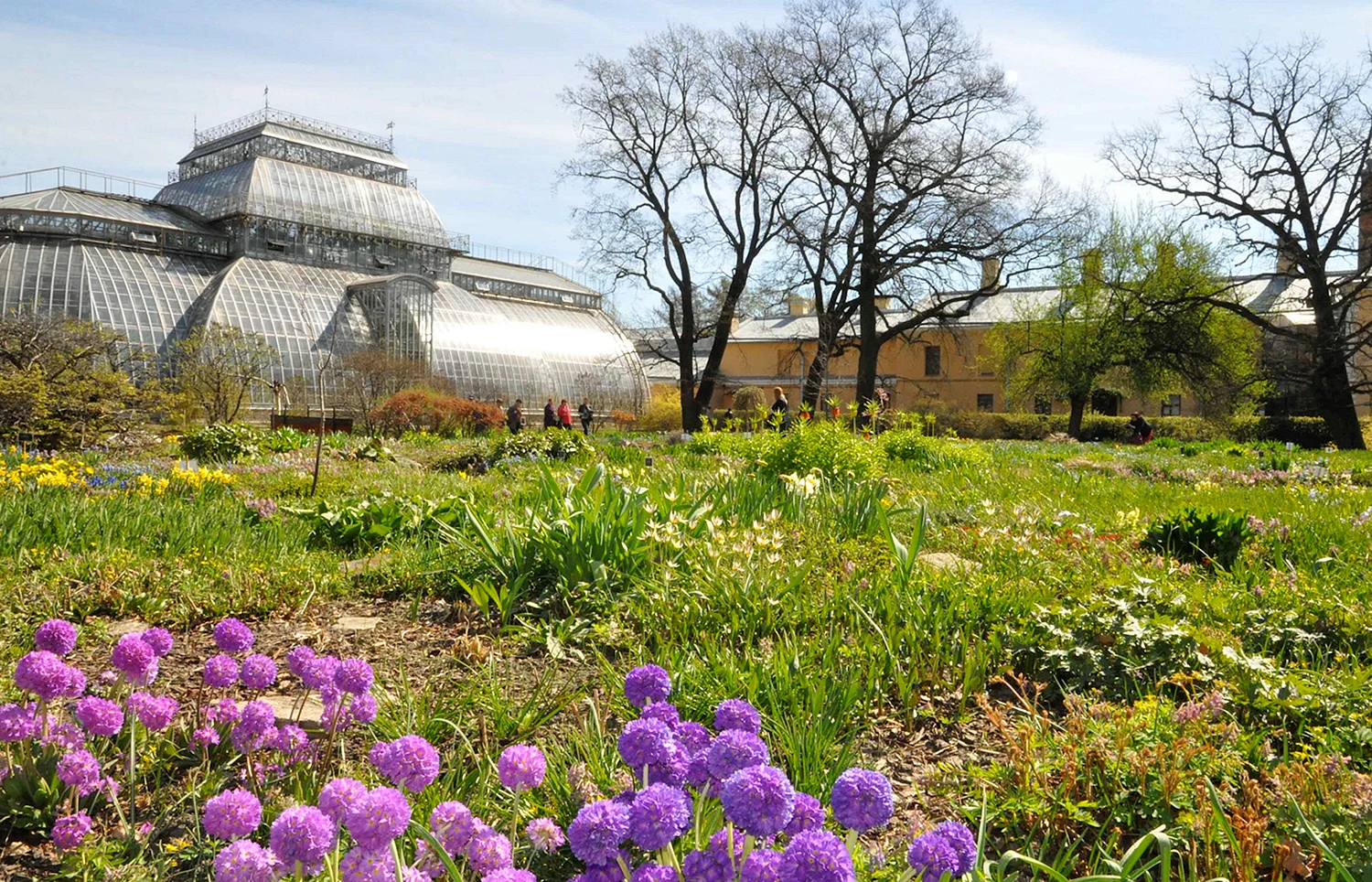 Ботанический парк Петра Великого Санкт-Петербург