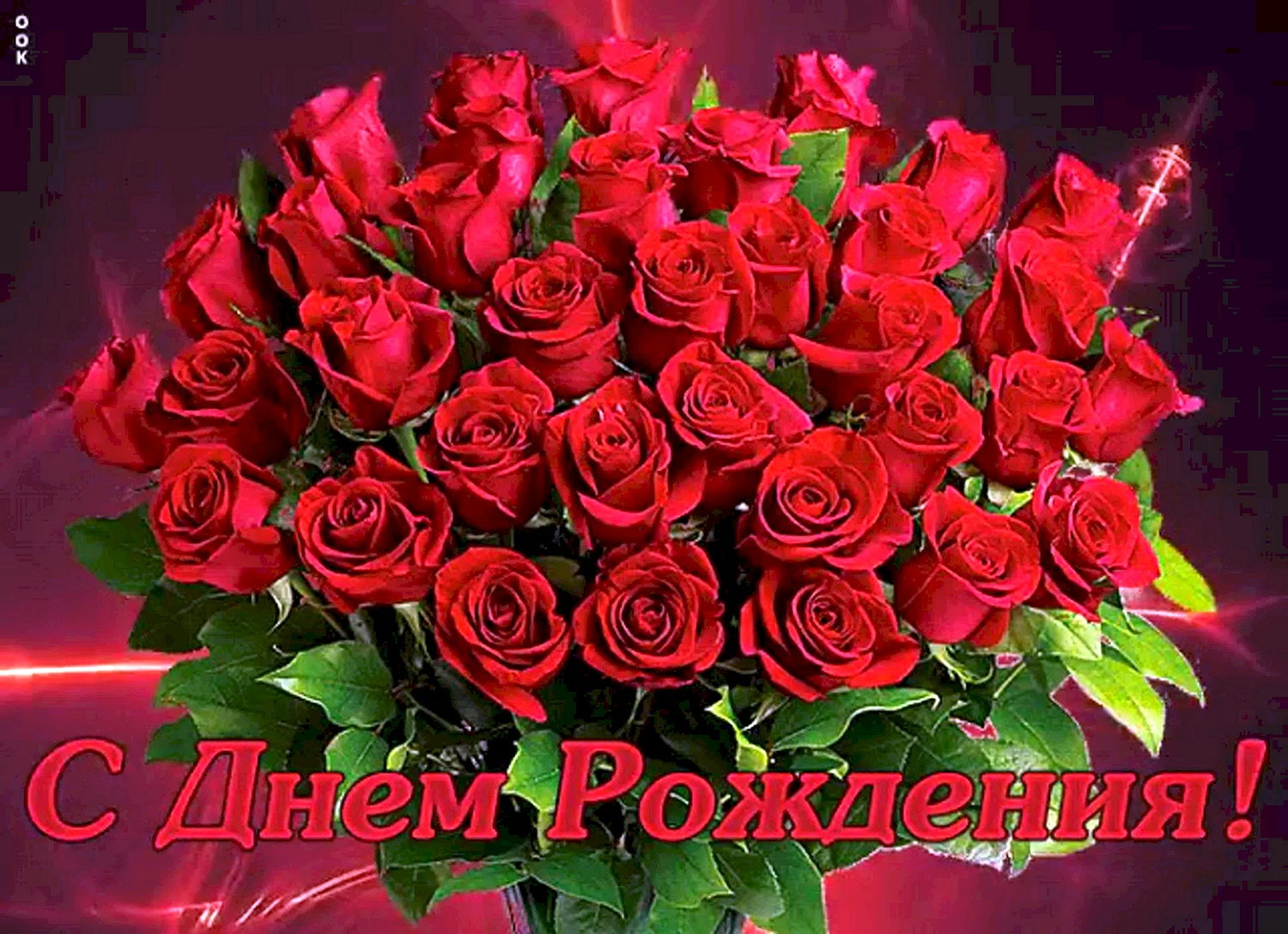 Букет роз с днем рождения
