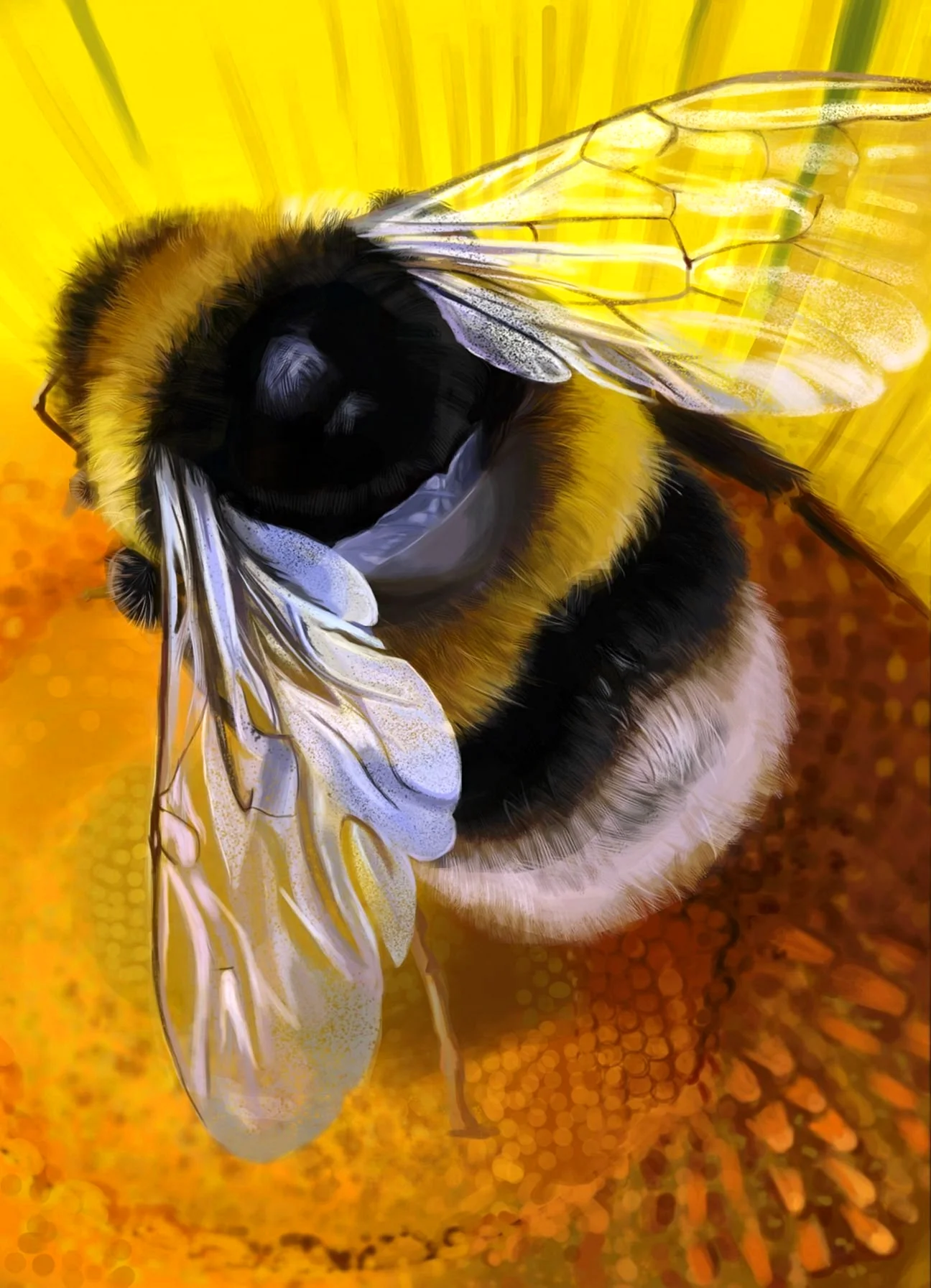 Bumblebee Шмель