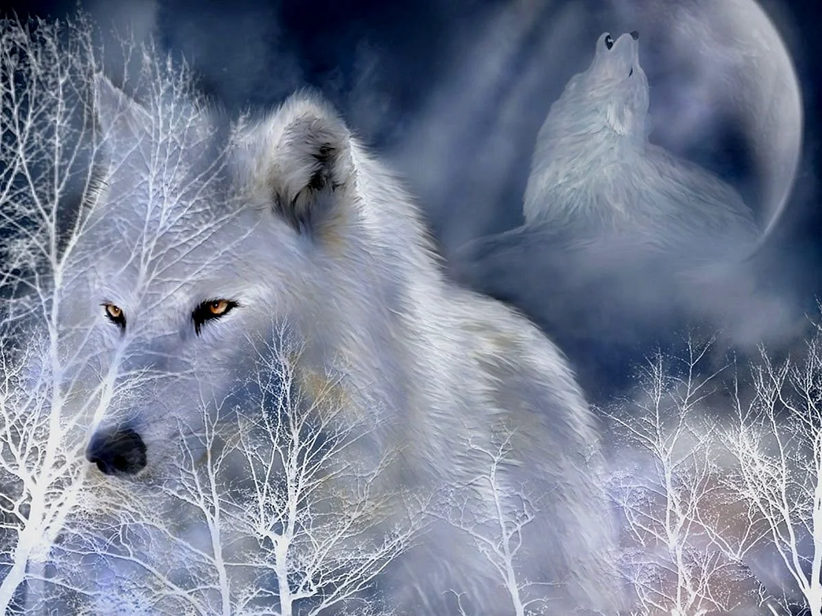 Carol Cavalaris белый волк