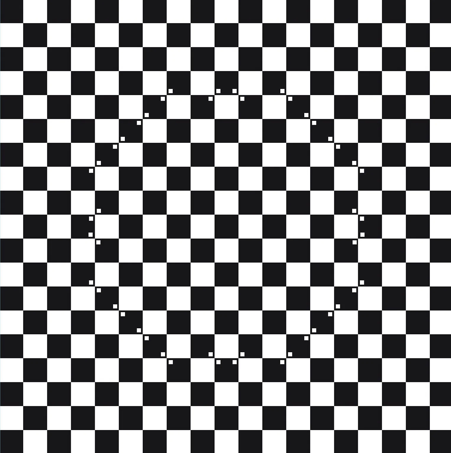 Checkerboard Distortion Grid