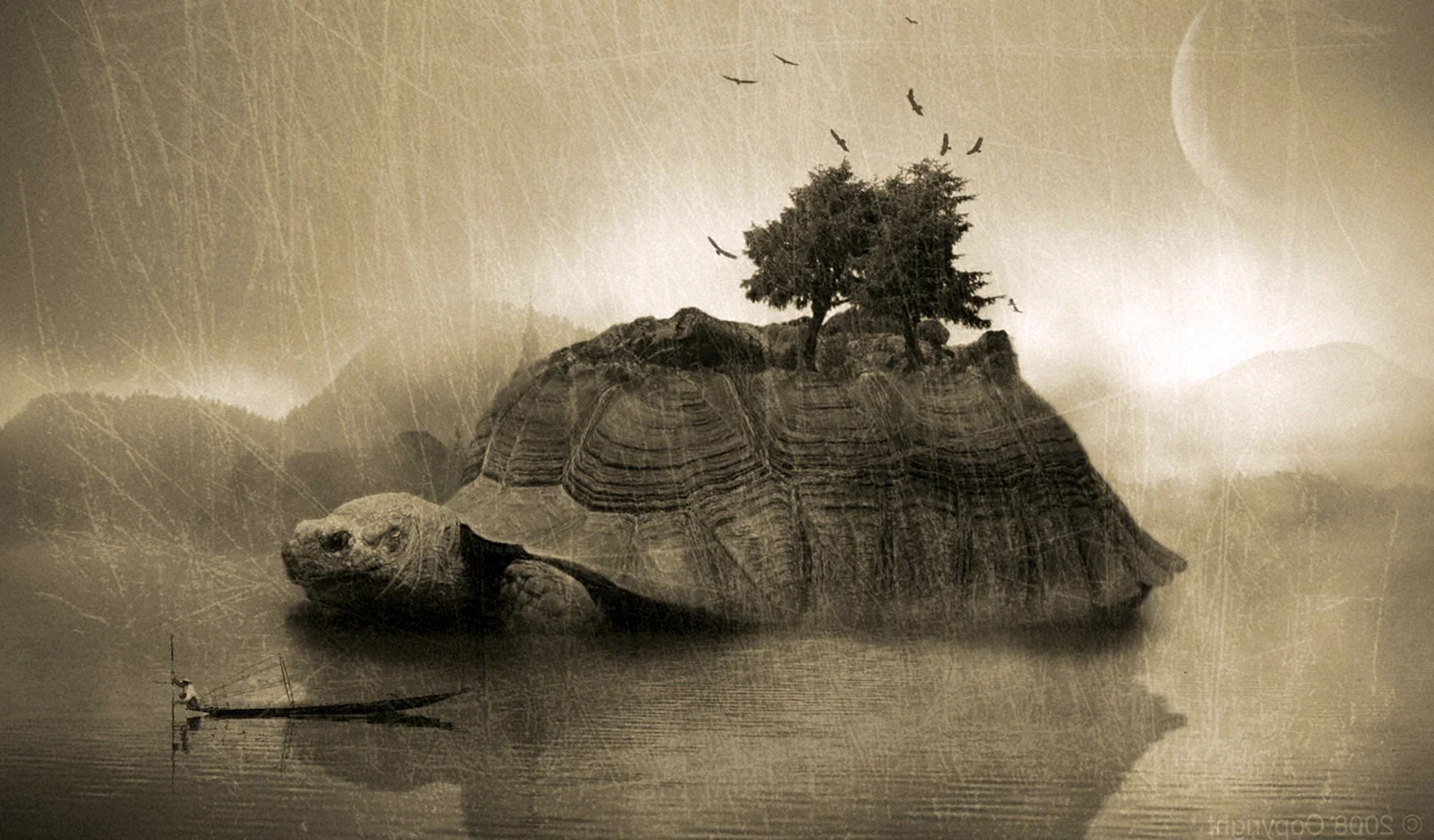 Черепаха и остров