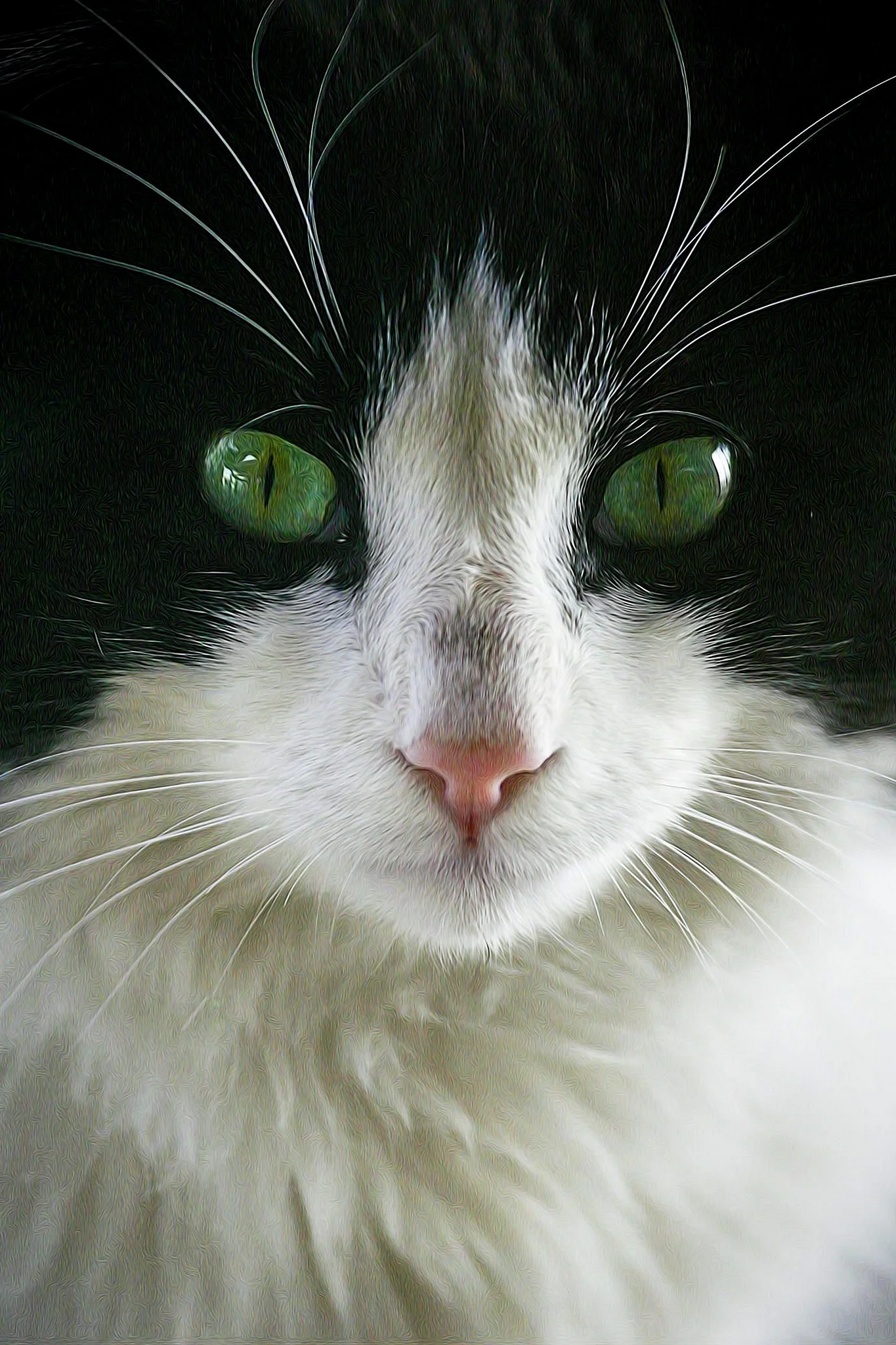 Черно белый кот с зелеными глазами