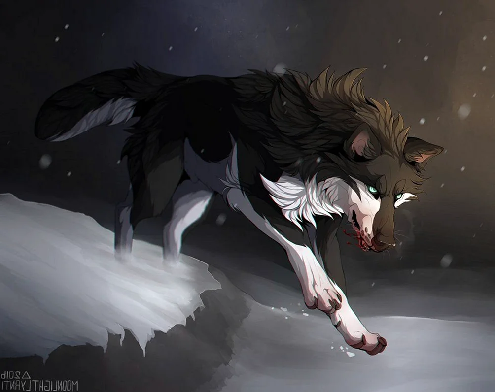 Черно белый волк аниме
