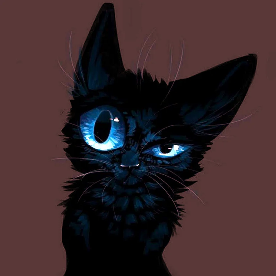 Чёрный кот арт