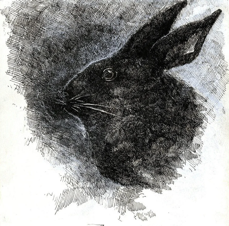Черный кролик арт