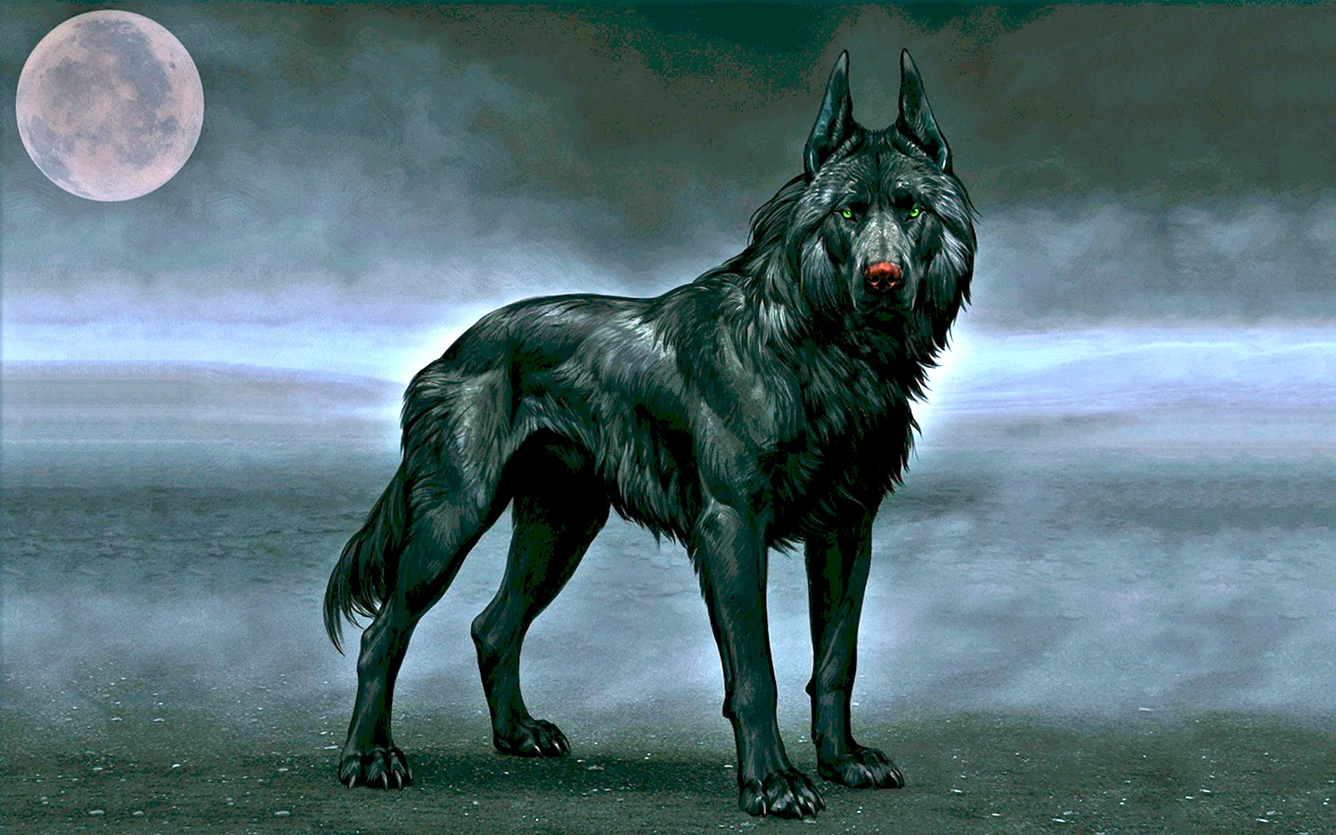 Чёрный Шак пёс призрак