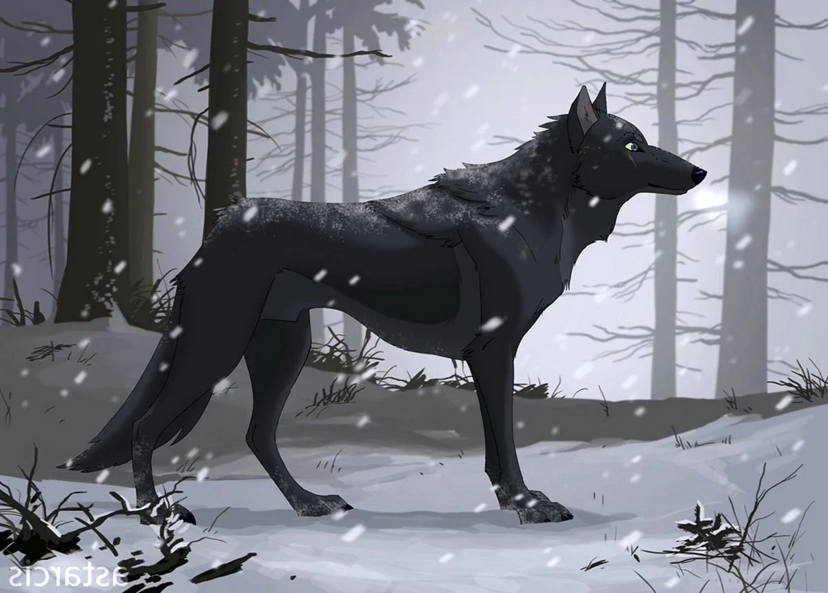 Черный волк арт