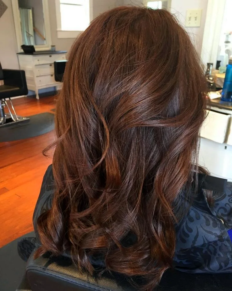 Chestnut Brown цвет волос