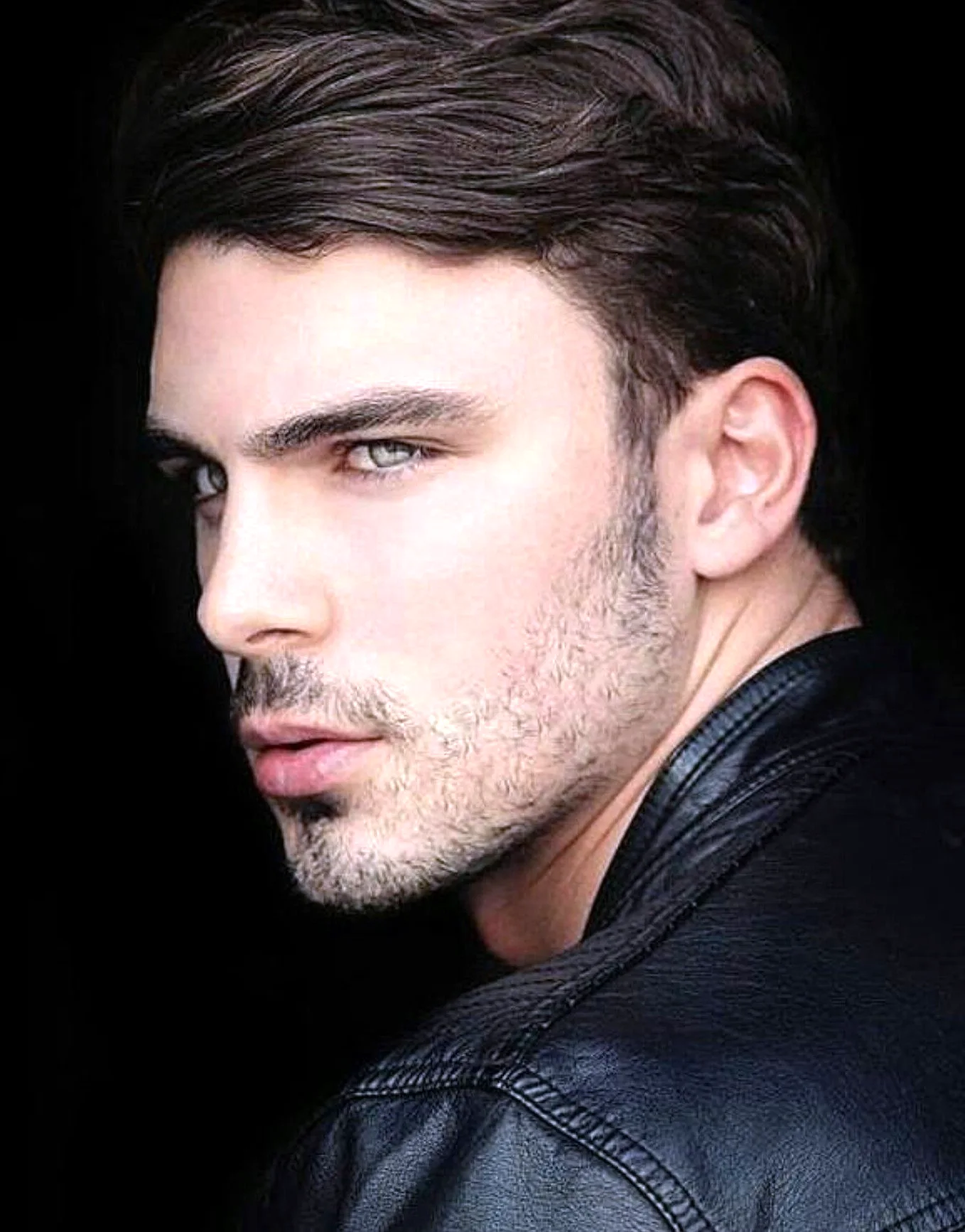 Christian Stefanovic модель