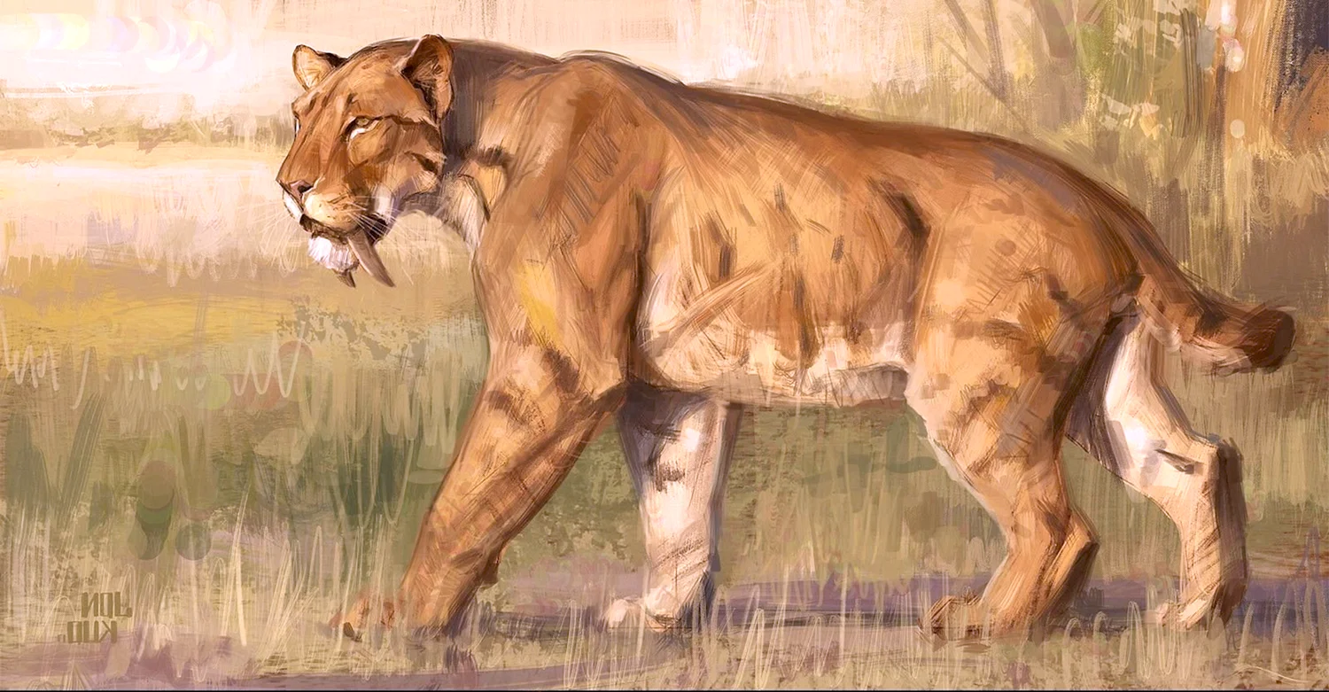 Cмилодон (Саблезубый тигр)