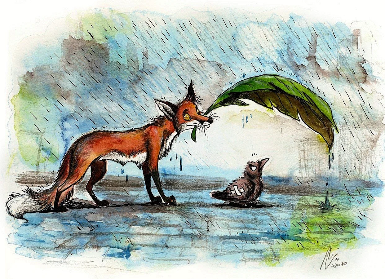 Culpeo-Fox (Анита Ульрих )