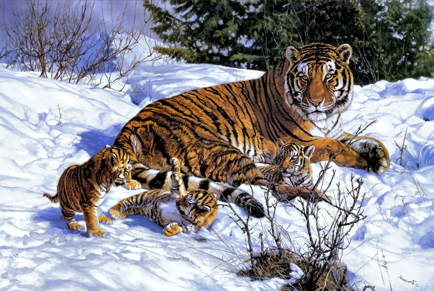 Данчурова 2010 тигры