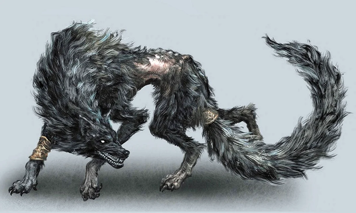 Dark Souls 3 Wolf Farron