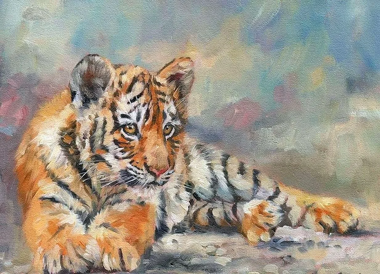 David Stribbling тигр Tiger