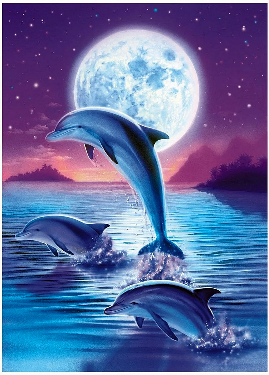 Дельфин д5