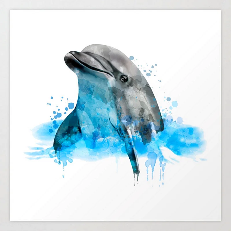 Дельфин скетч акварелью