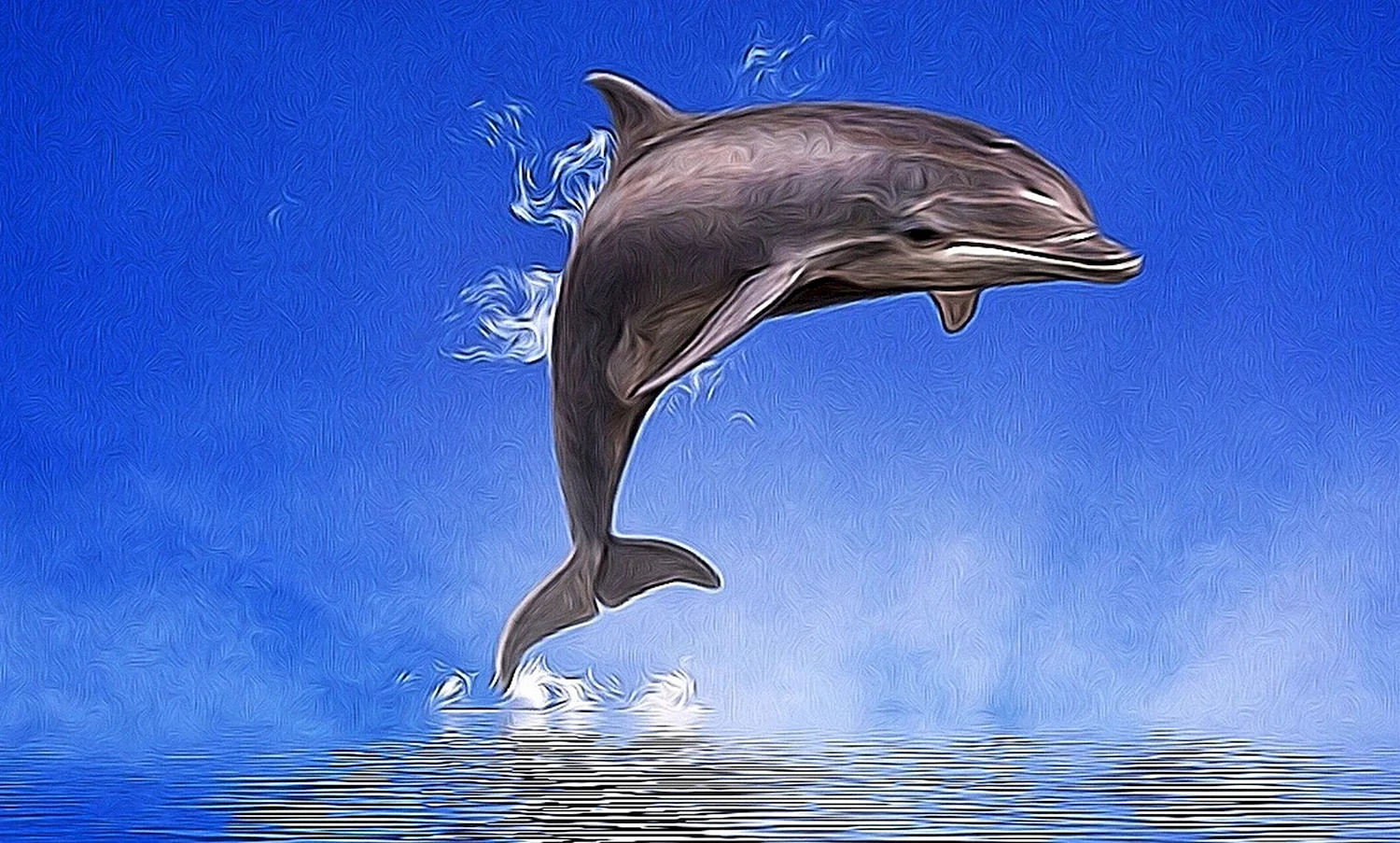 Дельфины арт