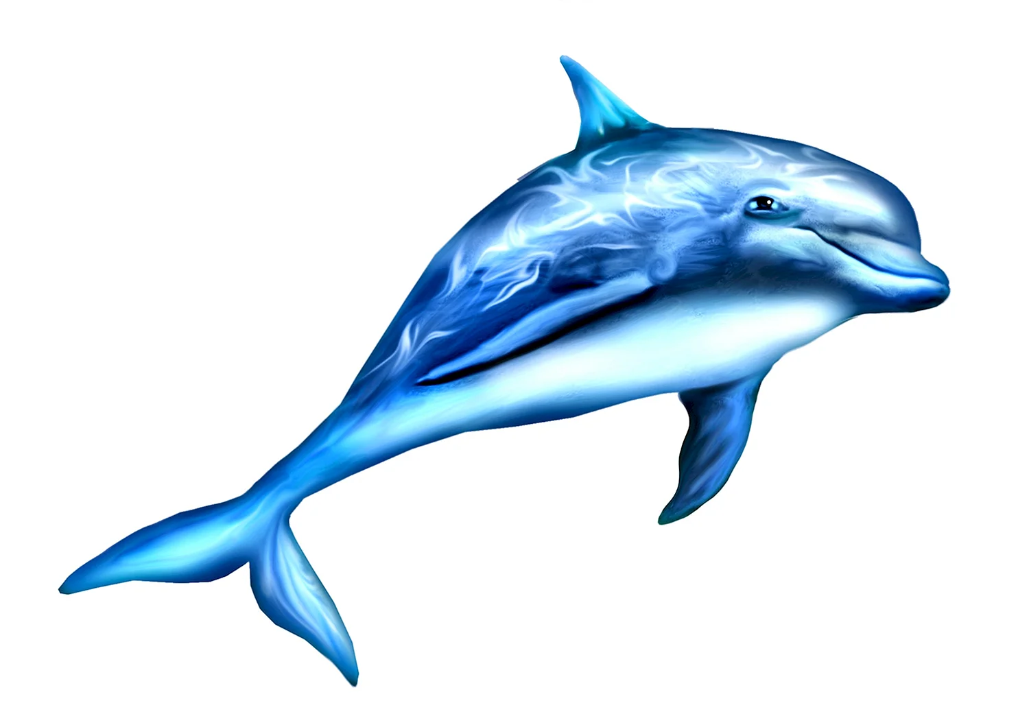 Дельфины на белом фоне
