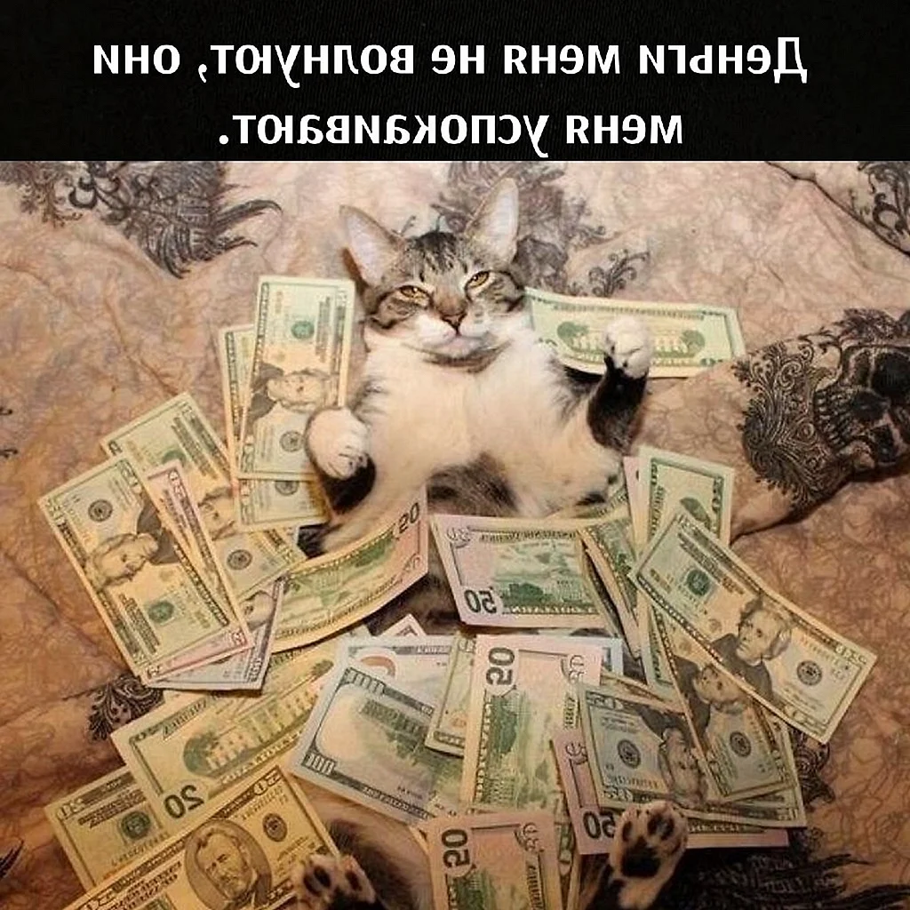 Денежный кот