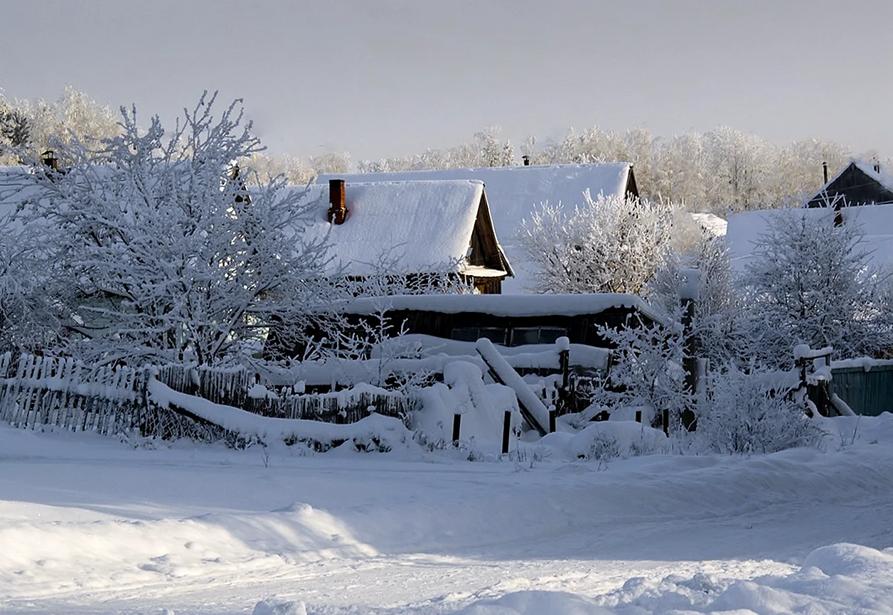Деревня Сигово зима