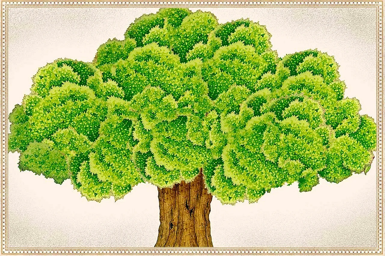Дерево для генеалогического древа