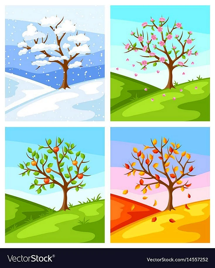 Дерево зимой весной летом и осенью
