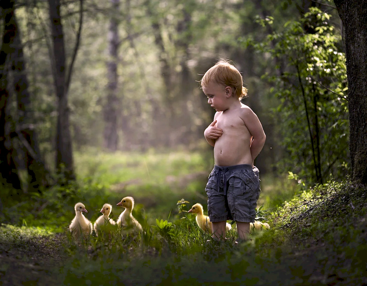 Детство в деревне фотограф Елена Шумилова