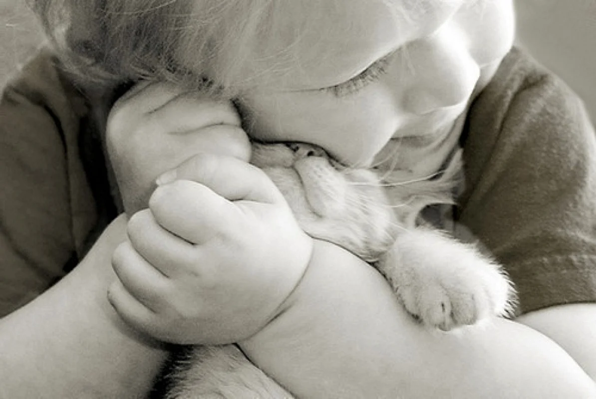 Девочка обнимает котенка