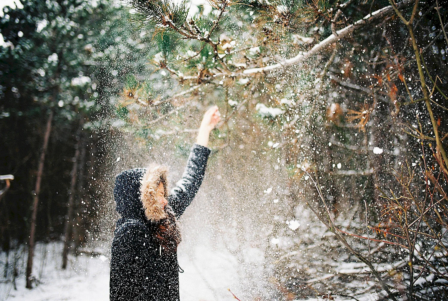 Девушка и первый снег