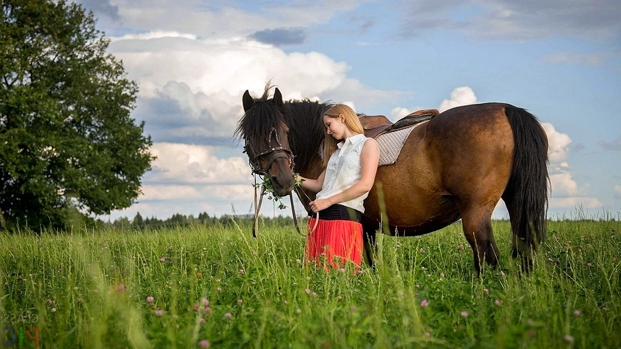 Девушка на коне в поле