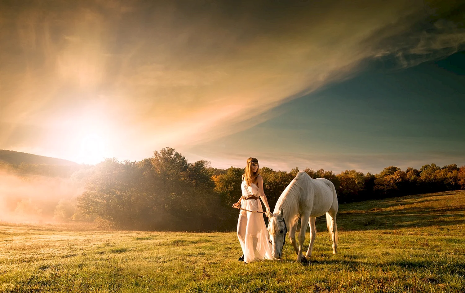Девушка на коне в поле