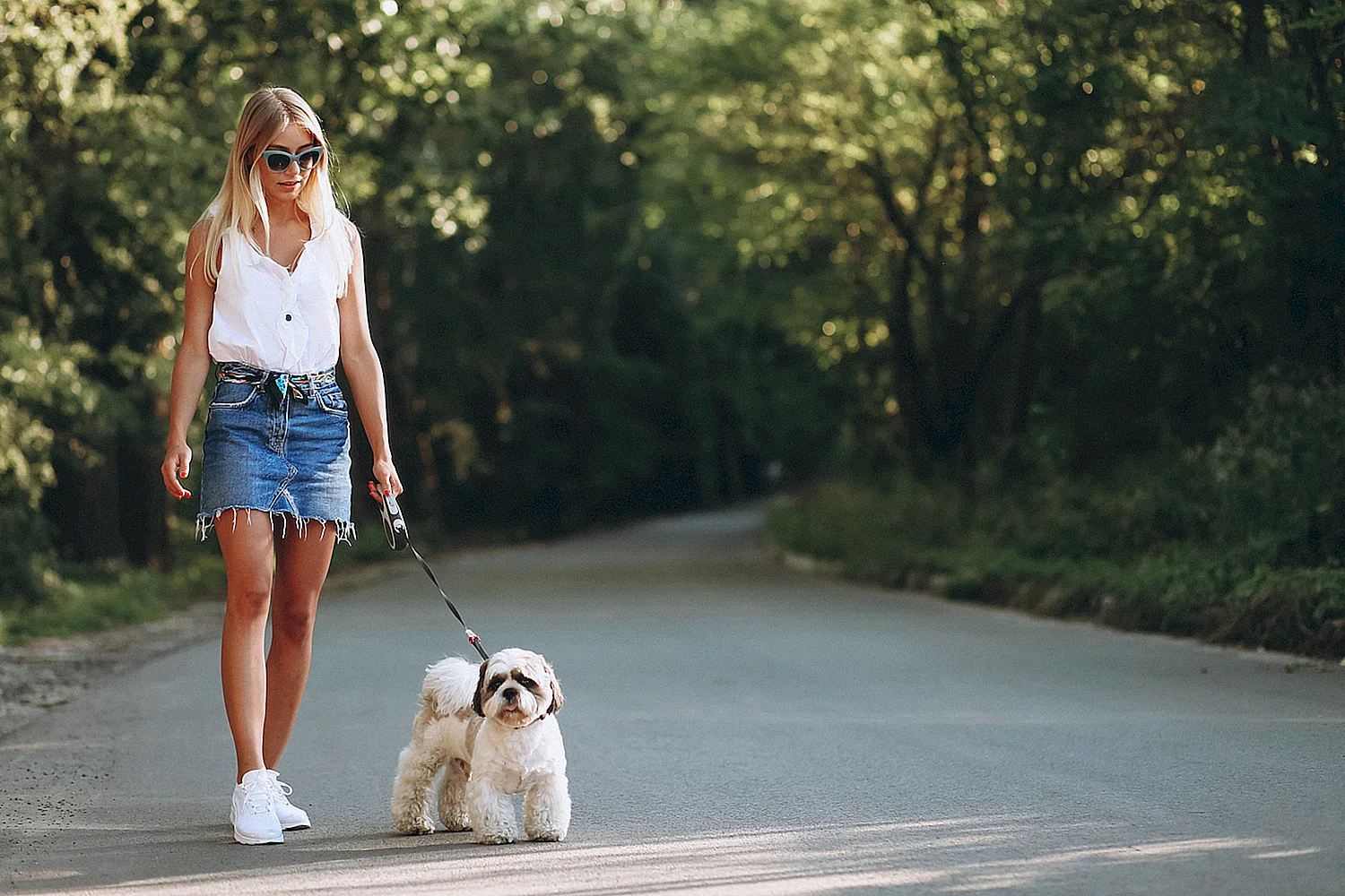 Девушка на прогулке с собакой