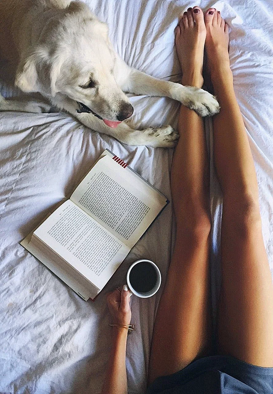 Девушка с книгой в постели