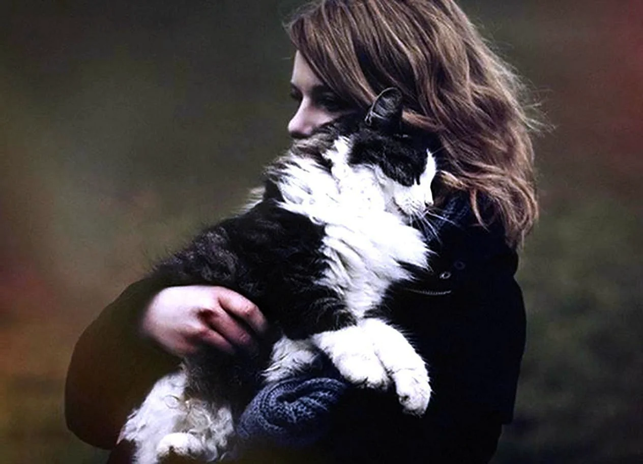 Девушка с кошкой на руках