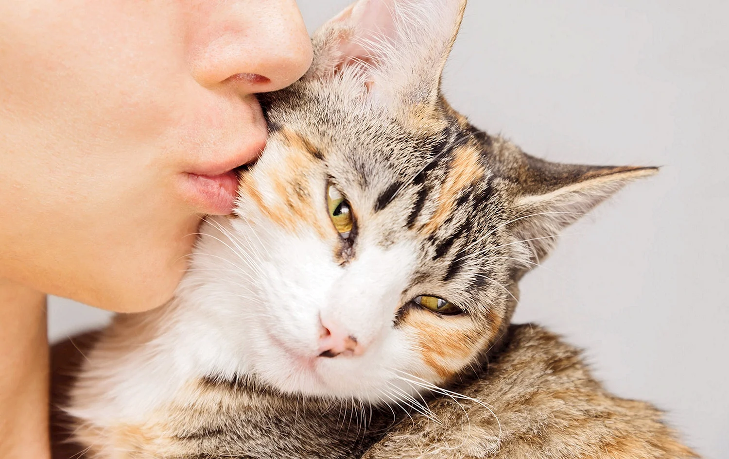 Девушка целует кошку
