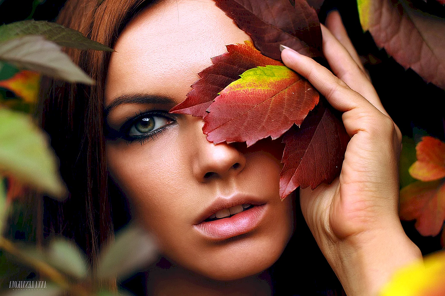 Девушка в осенних листьях