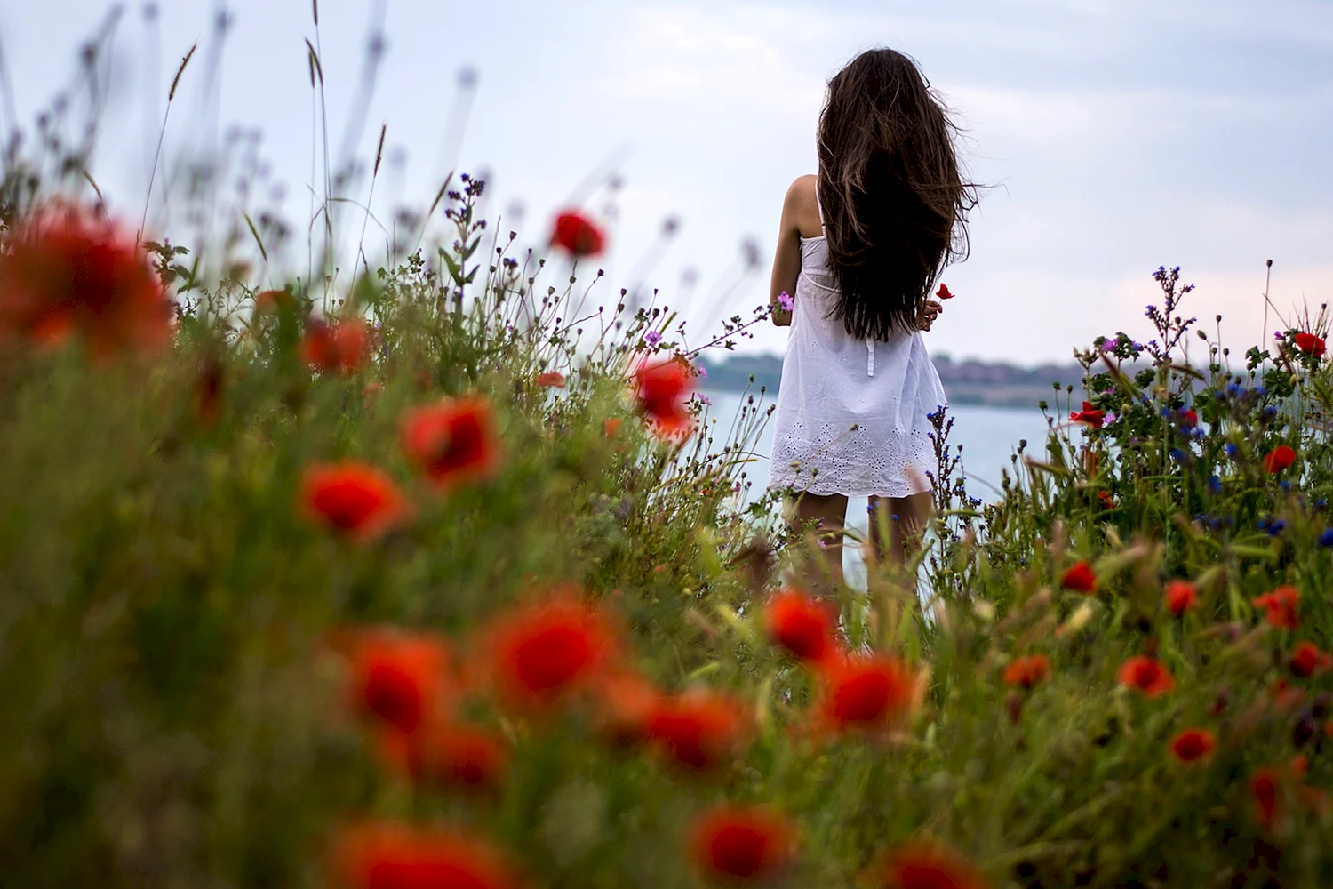 Девушка в поле цветов со спины