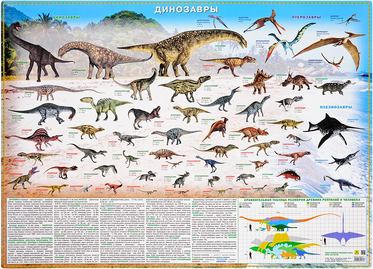 Динозавры и их названия