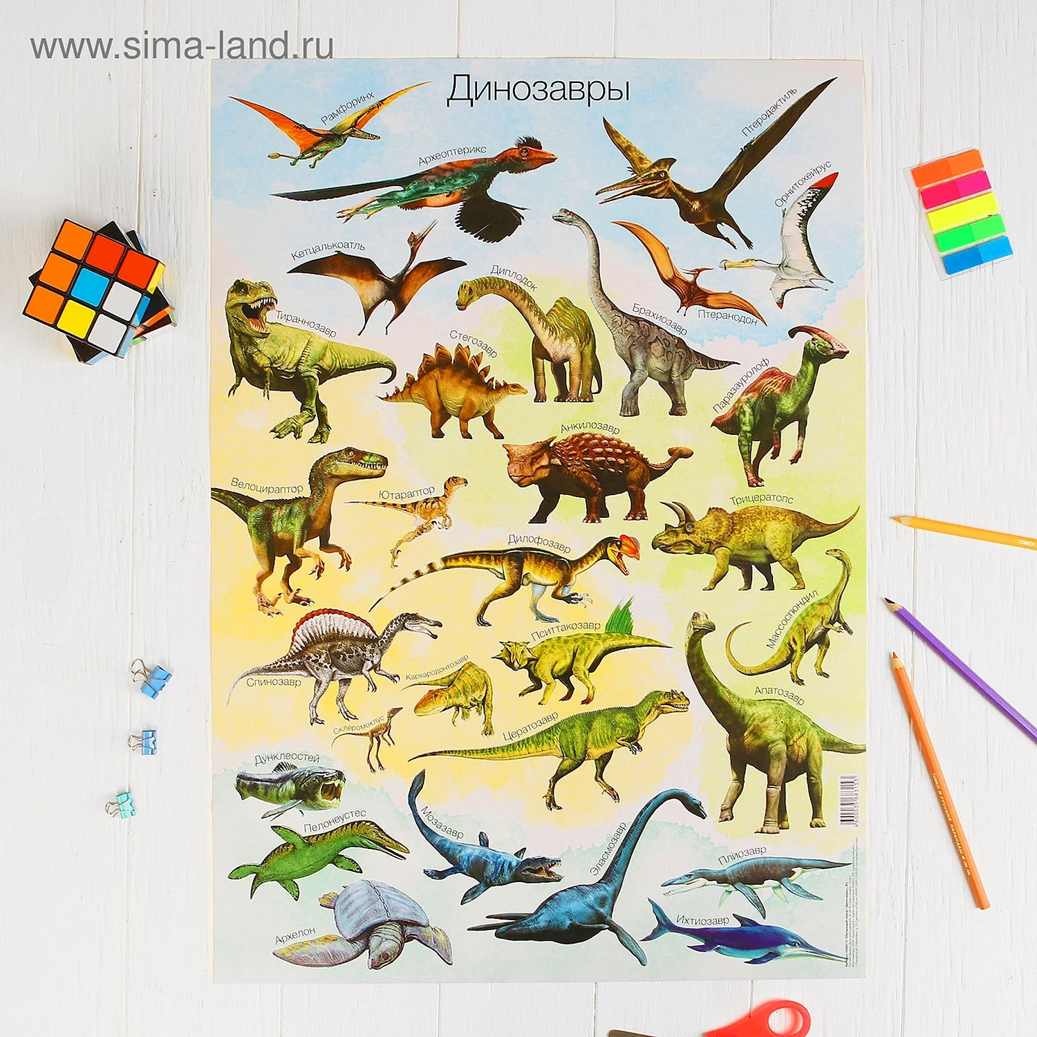 Динозавры обучающий плакат