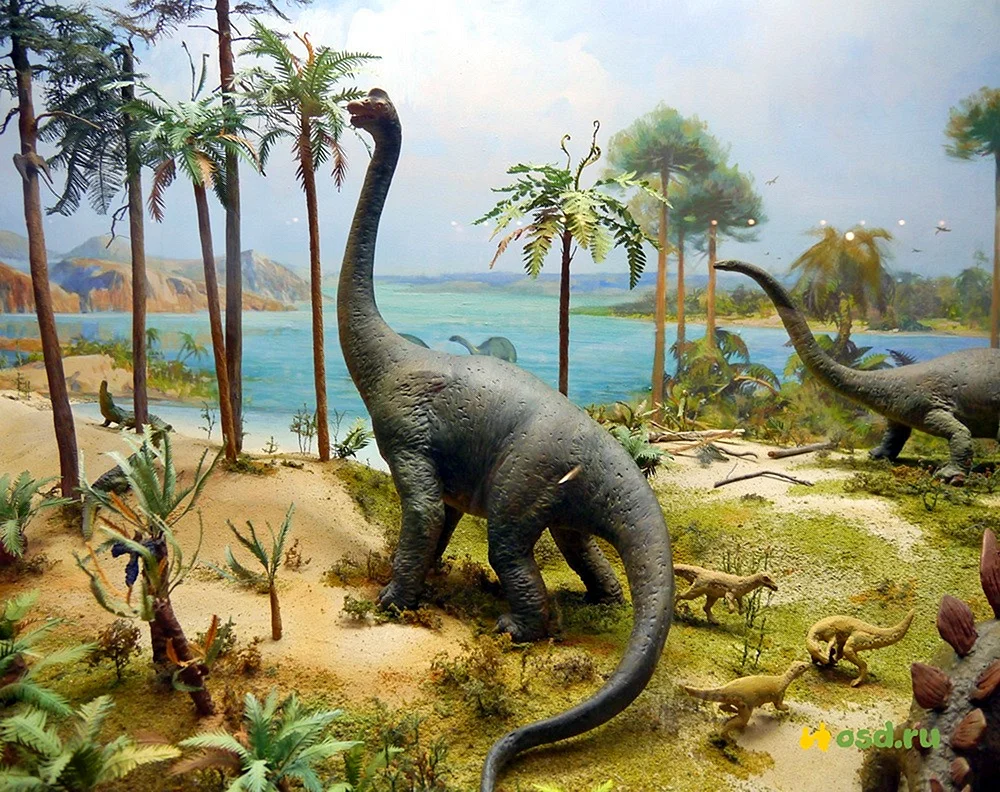 Динозавры травоядные Бронтозавр