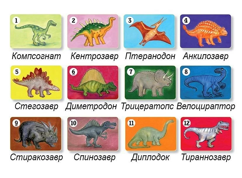 Djeco / детская наст.карт.игра динозавры
